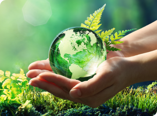 Hands holding a green earth above grass